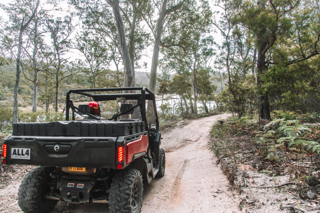Lagoon through the trees
